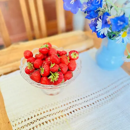 Ostello Torgu Royal *