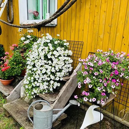 Ostello Torgu Royal Iide