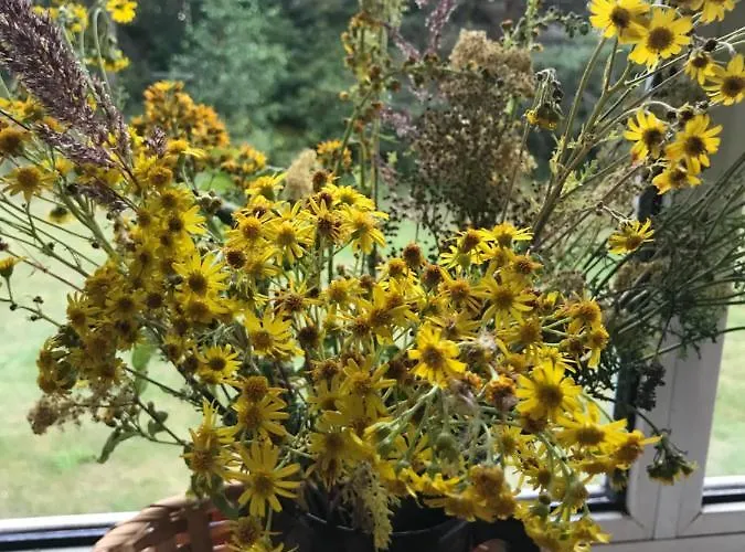 Hostel Torgu Royal Iide