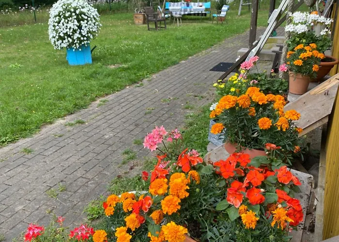 Torgu Royal Hostel *