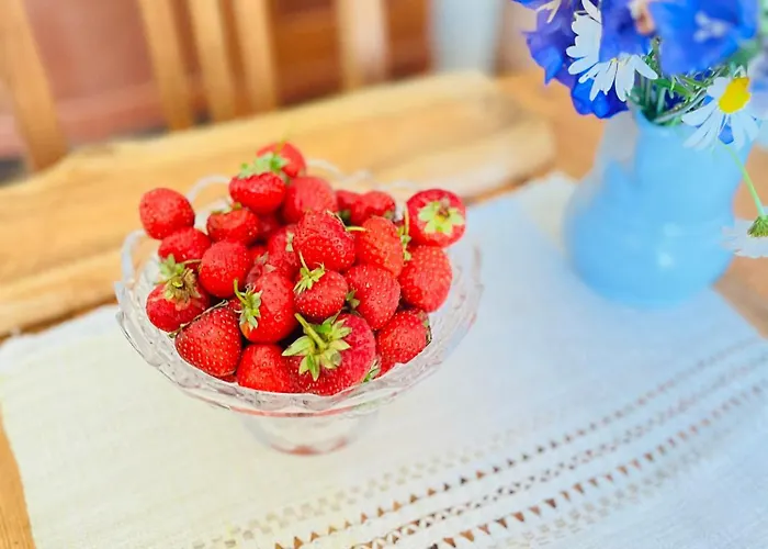 Hostel Torgu Royal *