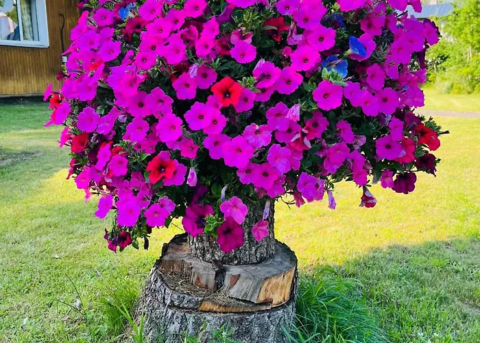 Hostel Torgu Royal Iide